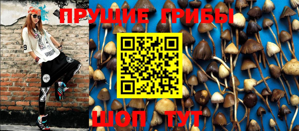 Псилоцибиновые грибы GOLDEN TEACHER  Вход с VPN  Галлюциногенные грибы Cubensis  Фролово 